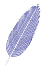 Bird Feather (blue). Vector illustration.