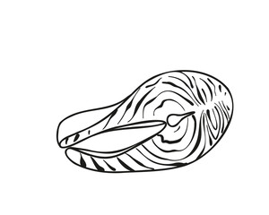 Doodle style red fish steak, salmon. Flat vector illustration isolated on white background.