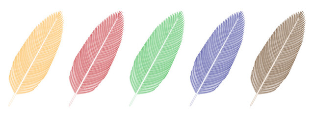 Bird Feathers (yellow, red, green, blue and gray). Vector illustration.