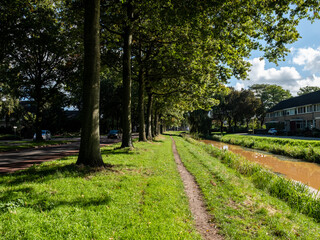 Obraz premium spring in the park