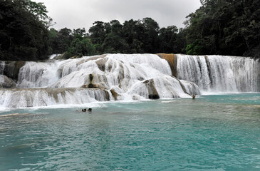Cataratas de Agua Azul, Wasserfälle des blauen Wassers, Palenque, Chiapas, Mexiko, Mittelamerika