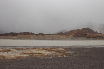 Desert landscape of northwestern Argentina