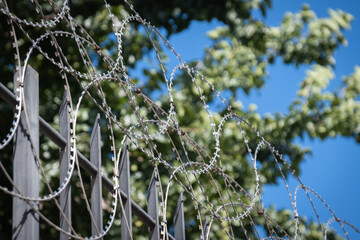 fence with razor wire on it. trees in the background.