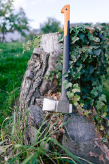 große Axt of einen Baumstumpf für Feuerholz