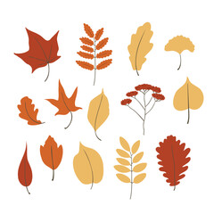 fall leaves vector illustrations in flat style, Autumn vibes clipart
