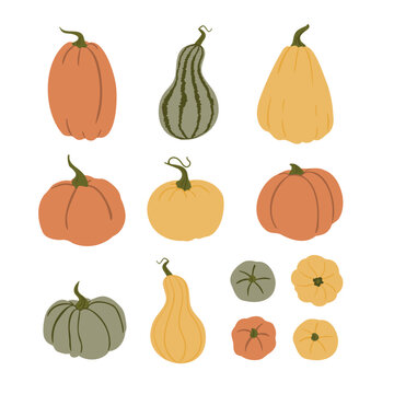 fall pumpkin vector illustrations in flat style, Autumn vibes clipart