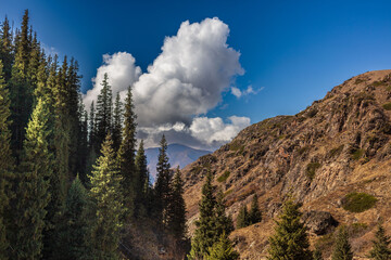 Obraz premium landscape with sky