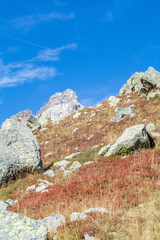 I primi colori dell’autunno ai piedi del Monviso – Rifugio e Lago Alpetto – Valle Po -Cuneo