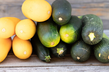 lots of fresh yellow and green zucchini . Organic vegetable on an organic farm. The concept of agriculture, cultivation and care of agriculture, copy space