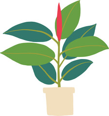 simplicity rubber fig plant freehand drawing flat design.