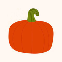 Hand drawn orange pumpkin. Vector isolated fall vegetable on light background