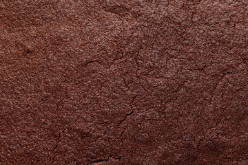 Chocolate brownies garnished with mint on cooling rack. Sweet food