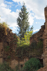 Obraz premium wall