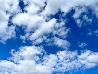 Obraz premium 青空と雲