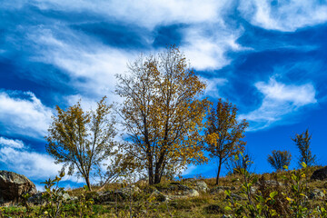 Obraz premium I primi colori dell’autunno ai piedi del Monviso – Rifugio e Lago Alpetto – Valle Po -Cuneo