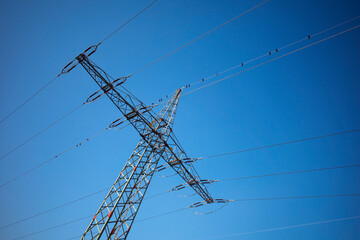 Morgenlicht an einem Hochspannung Strommasten mit Krähen auf den Leitungen und blauen Himmel im...