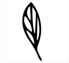 Leaf. Black and white sketch, logo, clipart. Vector illustration hand-drawn. Isolated object on a white background.