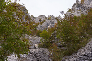 Rocky mountains landscape