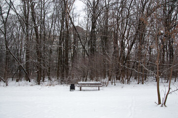 A winter landscape: a lonely snow-covered bench with an urn, bare trees, houses in the distance