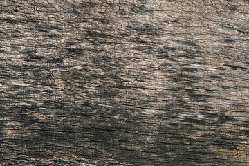 Fototapeta premium Aged texture. Wooden board. Shabby background. Grunge dark desk surface with black shell of paint cover copy space for text logo.