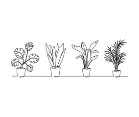 Continuous line art drawing of beautiful flowers in a pots. Tropical flower set single line art drawing vector illustration.