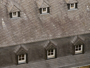 Fototapeta na wymiar Modern slate roof with dormer windows from a bird's eye view