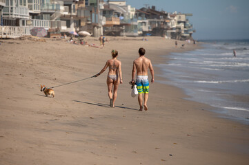 Rear view of couple seen walking dog on beach