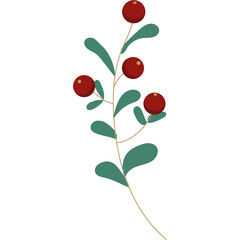 Winter floral element simple vector flat illustration 