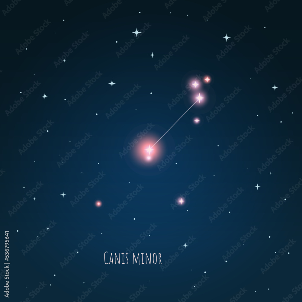 Canvas Prints constellation canis minor on the background of starry sky. constellation scheme collection vector il