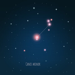 Constellation Canis Minor on the background of starry sky. Constellation scheme collection Vector illustration  © iryna