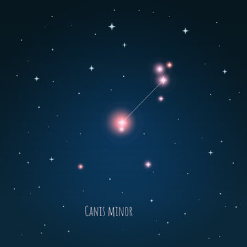 Constellation Canis Minor on the background of starry sky. Constellation scheme collection Vector illustration	