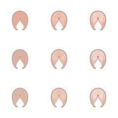 A vector drawn herring meat illustration with various colors and amount of details