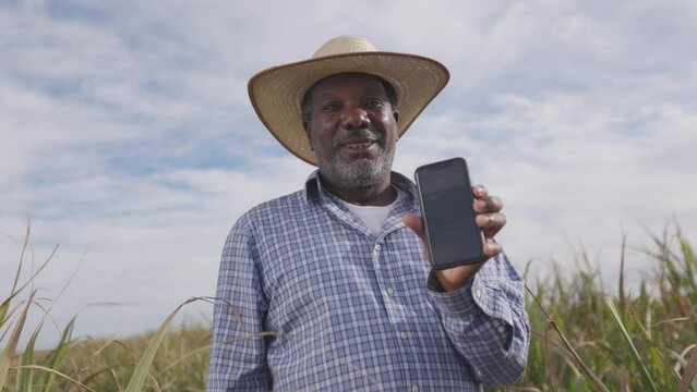 Farmer smiling and showing his cell phone with a photo of the farm. Farmer celebrating. Sugar cane in the background.