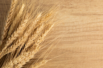 Ukrainian wheat. War in Ukraine. Export of grain. Support from all over the world. investment in the country. Donations.