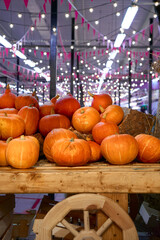 autumn harvest concept. Bunch of appetizing orange pumpkins on wood wagon with wheels, backdrop bokeh blurred light bulbs and purple light. thanksgiving day, helloween, counter for sale, front view