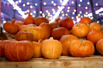autumn harvest concept. Bunch of appetizing orange pumpkins on wood table, backdrop bokeh blurred light bulbs and purple light. thanksgiving day, helloween, counter for sale, Horizontal, front view