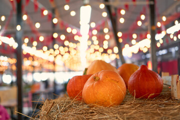 autumn harvest concept. Close up view of appetizing orange pumpkins on bale of hay as a symbol of thanksgiving day and helloween, backdrop bokeh blurred light bulbs and red flags