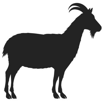 recommend clip art: Silhouette of goat isolated on white