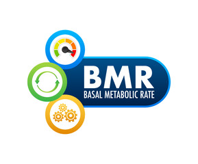 BMR - Basal Metabolic Rate acronym. Vector stock illustration. - obrazy, fototapety, plakaty