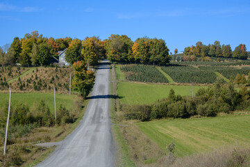 Fototapeta na wymiar Beautiful fall colors in the Canadian countryside in the province of Quebec