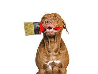 Lovable, pretty puppy and painting tools. Close-up, indoors. Studio photo. Concept of care,...