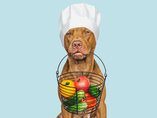 Pretty, lovable brown puppy and small basket of fresh vegetables. Closeup, indoors. Studio photo. Pet care. Concept of delicious and healthy food