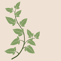 Simplicity ivy freehand drawing flat design.