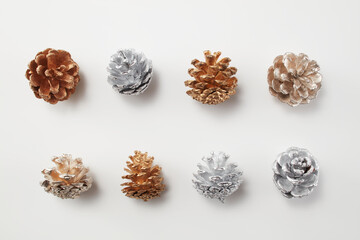 pine, pinecone,松,松ぼっくり,circle,円,白背景