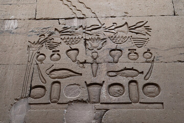 Beautiful ancient egyptian offerings carved on the walls of Kom Ombo temple in Aswan 