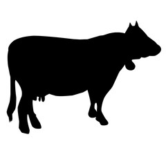 silhouette of a horse