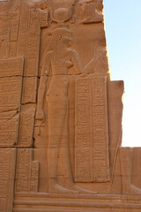 Ancient egyptian carvings at Kom Ombo temple in Aswan 