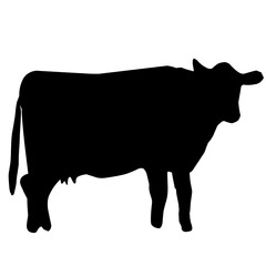 sacrificial cow silhouette