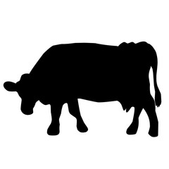 sacrificial cow silhouette