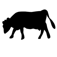 sacrificial cow silhouette